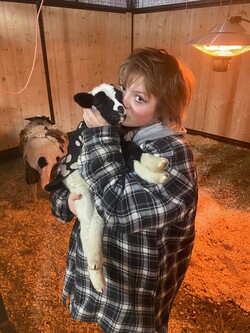 Teenage girl in barn holding new lamb