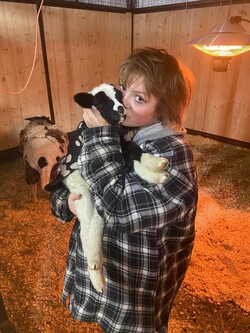 Teenage girl in barn holding new lamb