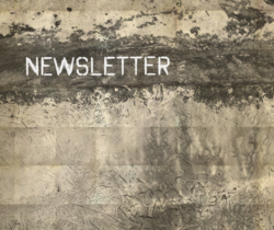 the words newsletter on a barn board background